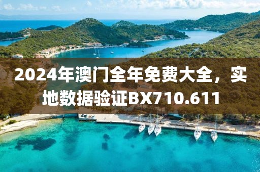 2024年澳门全年免费大全，实地数据验证BX710.611