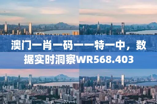 澳门一肖一码一一特一中，数据实时洞察WR568.403