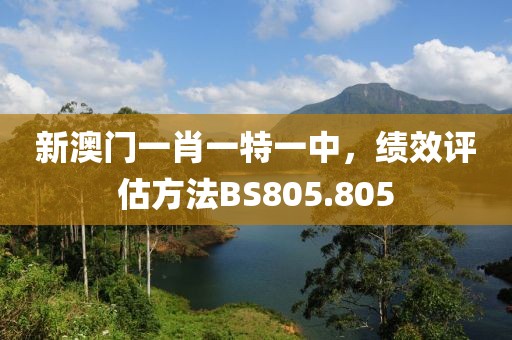 新澳门一肖一特一中，绩效评估方法BS805.805