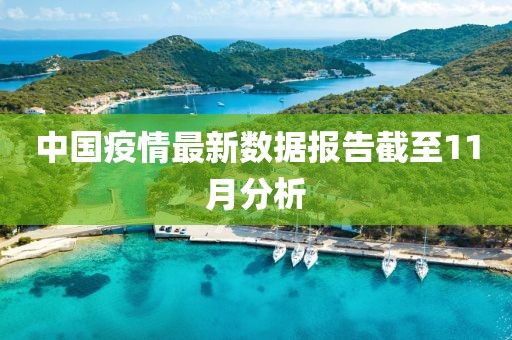 中国疫情最新数据报告截至11月分析