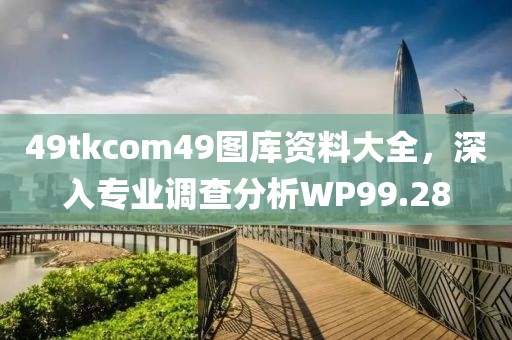 49tkcom49图库资料大全，深入专业调查分析WP99.28