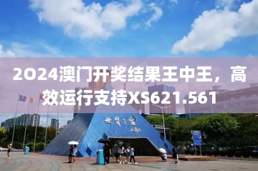 2O24澳门开奖结果王中王，高效运行支持XS621.561