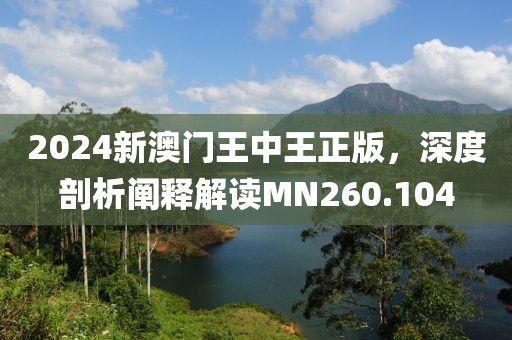 2024新澳门王中王正版，深度剖析阐释解读MN260.104