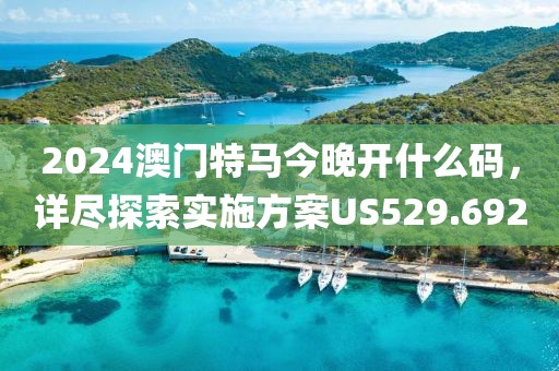 2024澳门特马今晚开什么码，详尽探索实施方案US529.692