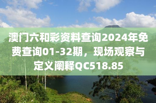 澳门六和彩资料查询2024年免费查询01-32期，现场观察与定义阐释QC518.85
