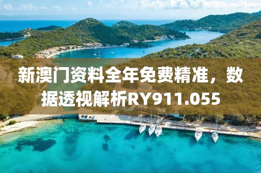 新澳门资料全年免费精准，数据透视解析RY911.055