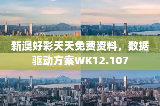新澳好彩天天免费资料，数据驱动方案WK12.107