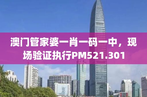 澳门管家婆一肖一码一中，现场验证执行PM521.301