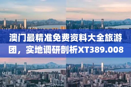 澳门最精准免费资料大全旅游团，实地调研剖析XT389.008