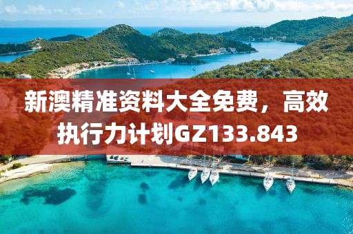 新澳精准资料大全免费，高效执行力计划GZ133.843