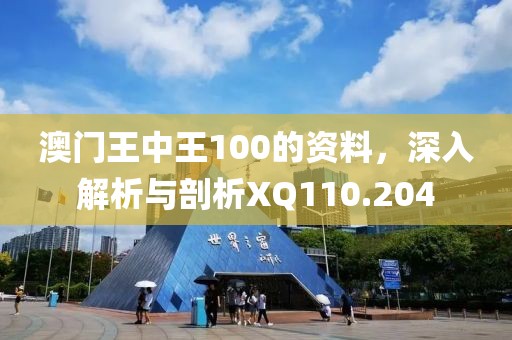 澳门王中王100的资料，深入解析与剖析XQ110.204