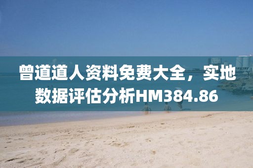曾道道人资料免费大全，实地数据评估分析HM384.86