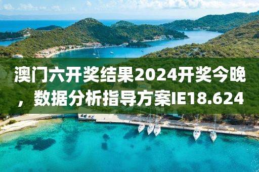 澳门六开奖结果2024开奖今晚，数据分析指导方案IE18.624