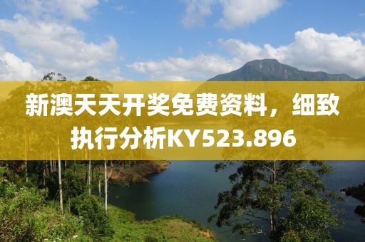 新澳天天开奖免费资料，细致执行分析KY523.896