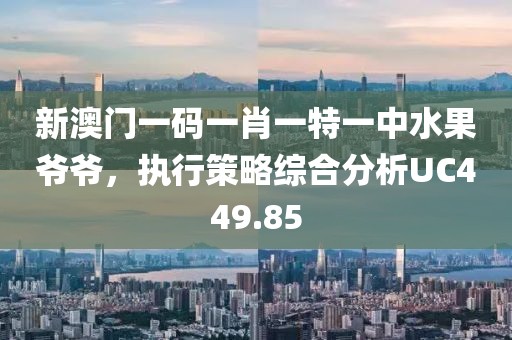 新澳门一码一肖一特一中水果爷爷，执行策略综合分析UC449.85
