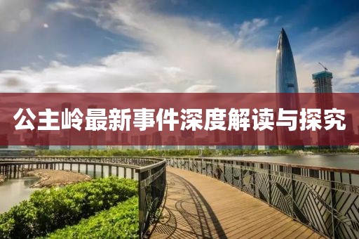 公主岭最新事件深度解读与探究