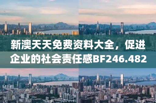新澳天天免费资料大全，促进企业的社会责任感BF246.482