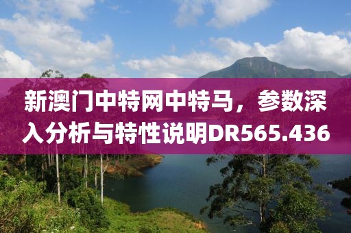 新澳门中特网中特马，参数深入分析与特性说明DR565.436