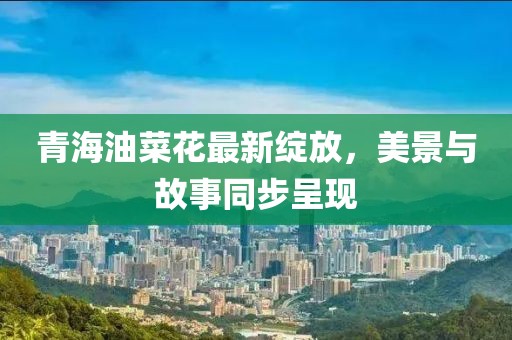 青海油菜花最新绽放，美景与故事同步呈现