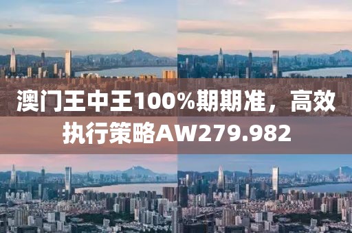 澳门王中王100%期期准，高效执行策略AW279.982