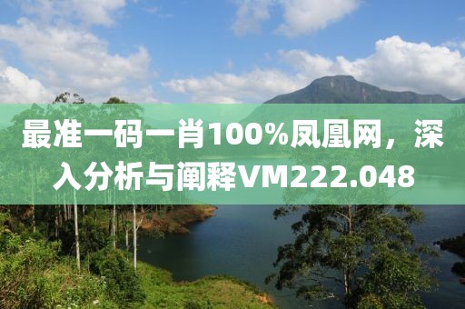 最准一码一肖100%凤凰网，深入分析与阐释VM222.048
