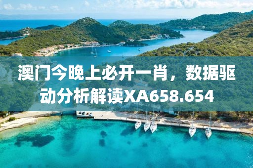 澳门今晚上必开一肖，数据驱动分析解读XA658.654
