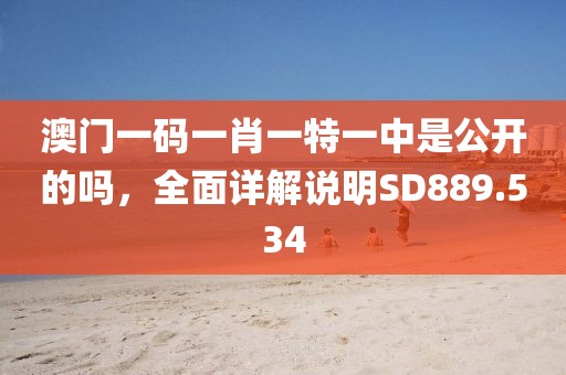 澳门一码一肖一特一中是公开的吗，全面详解说明SD889.534