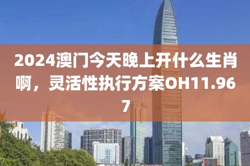 2024澳门今天晚上开什么生肖啊，灵活性执行方案OH11.967