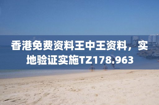 香港免费资料王中王资料，实地验证实施TZ178.963
