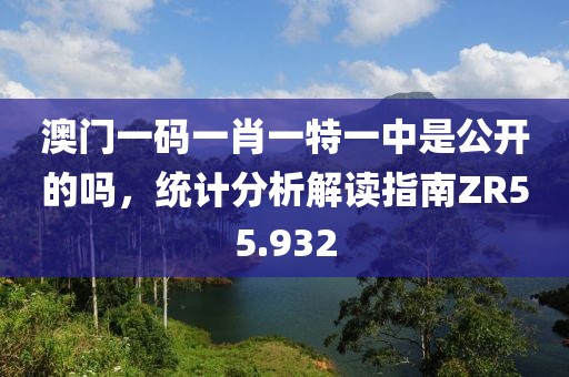 澳门一码一肖一特一中是公开的吗，统计分析解读指南ZR55.932