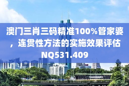 澳门三肖三码精准100%管家婆，连贯性方法的实施效果评估NQ531.409