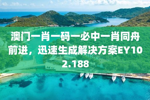 澳门一肖一码一必中一肖同舟前进，迅速生成解决方案EY102.188