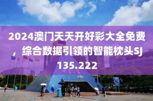 2024澳门天天开好彩大全免费，综合数据引领的智能枕头SJ135.222