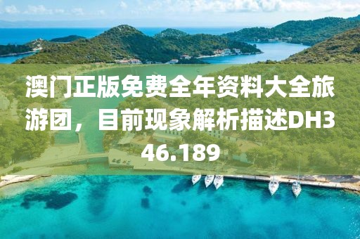 澳门正版免费全年资料大全旅游团，目前现象解析描述DH346.189