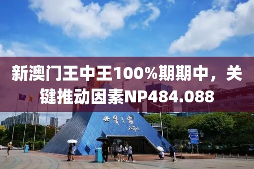 新澳门王中王100%期期中，关键推动因素NP484.088