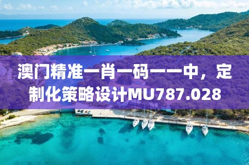 澳门精准一肖一码一一中，定制化策略设计MU787.028