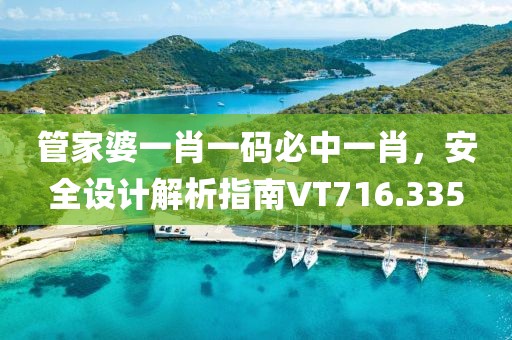 管家婆一肖一码必中一肖，安全设计解析指南VT716.335