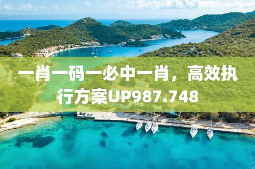 一肖一码一必中一肖，高效执行方案UP987.748