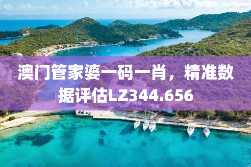 澳门管家婆一码一肖，精准数据评估LZ344.656