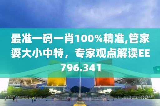最准一码一肖100%精准,管家婆大小中特，专家观点解读EE796.341