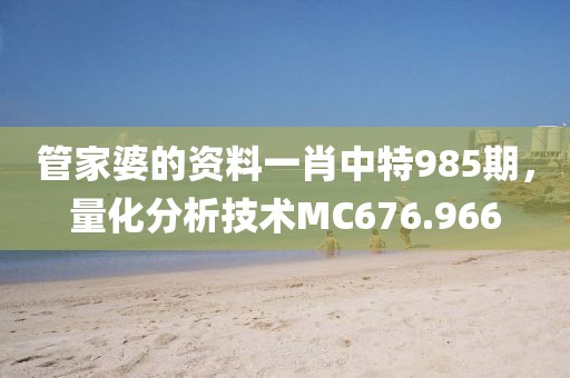 管家婆的资料一肖中特985期，量化分析技术MC676.966