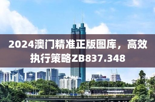 2024澳门精准正版图库，高效执行策略ZB837.348
