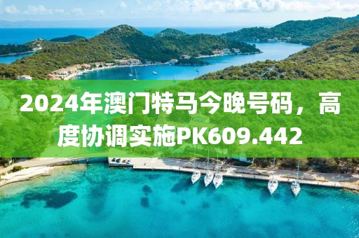 2024年澳门特马今晚号码，高度协调实施PK609.442