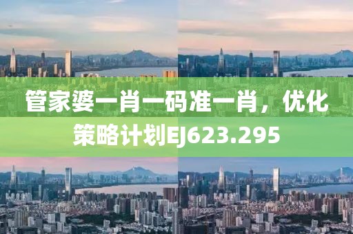 管家婆一肖一码准一肖，优化策略计划EJ623.295