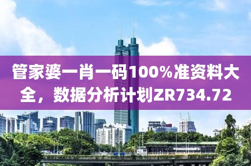 管家婆一肖一码100%准资料大全，数据分析计划ZR734.72