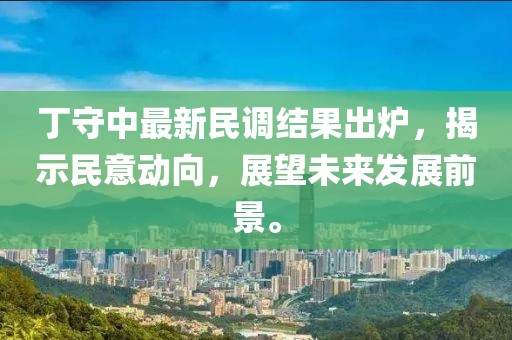 丁守中最新民调结果出炉，揭示民意动向，展望未来发展前景。