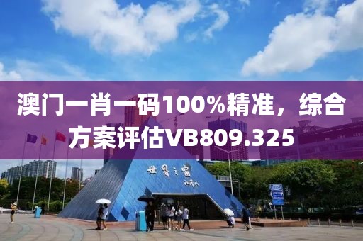 澳门一肖一码100%精准，综合方案评估VB809.325