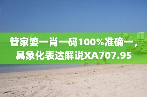 管家婆一肖一码100%准确一，具象化表达解说XA707.95