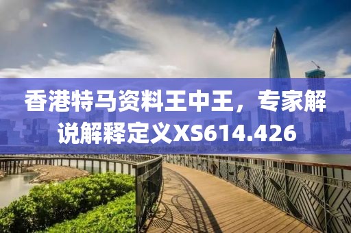 香港特马资料王中王，专家解说解释定义XS614.426