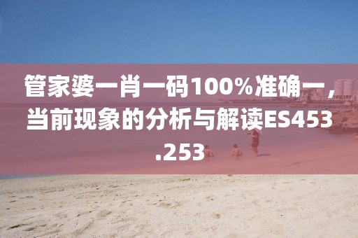 管家婆一肖一码100%准确一，当前现象的分析与解读ES453.253
